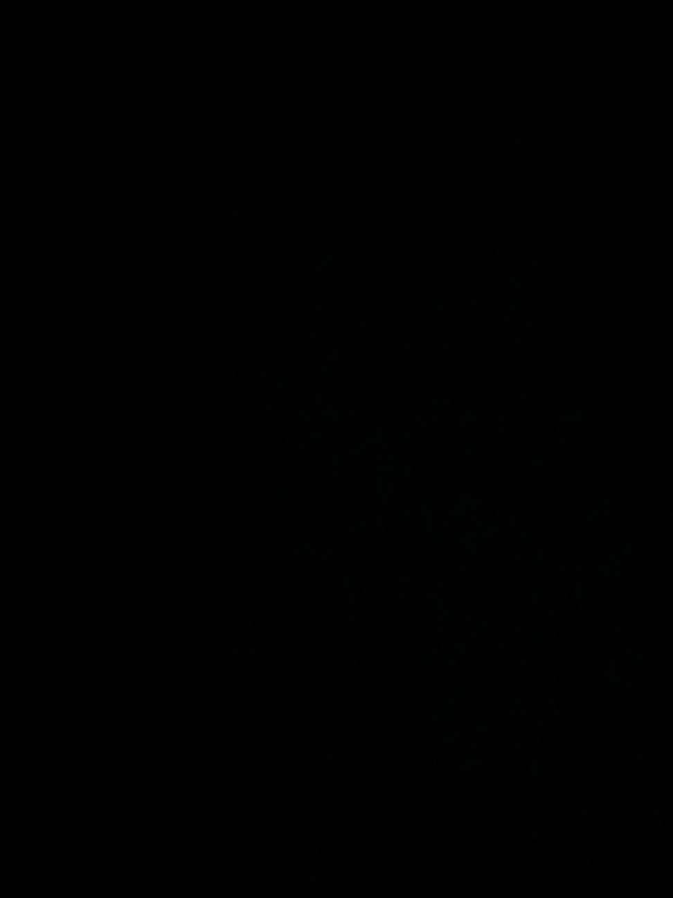 #myschoolpresident         #geminifourth 