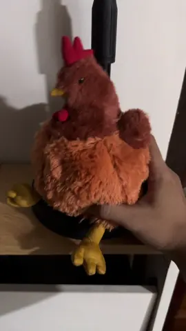 Ku ku ku kuya nathanghal 🐓🐔 #chicken #stuffedtoys 