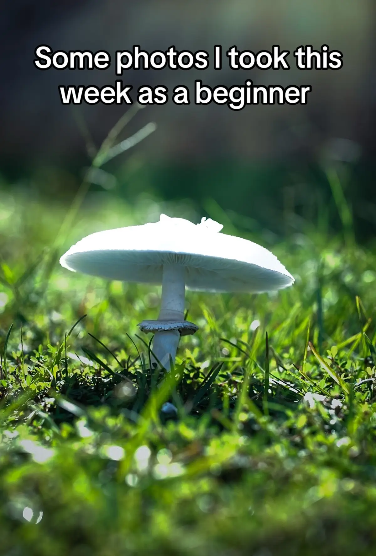 Any tips? #fypシ #photography #photoshoot #freelancer #aesthetics 