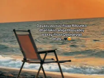 Hooyada mcn Magaceed 🖤😍#mud4lipinho 