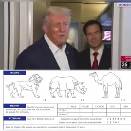 Donald Trump inaccurately describes the dementia test he recently took #trump 