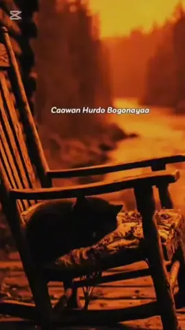 cawan hurdo boganaya