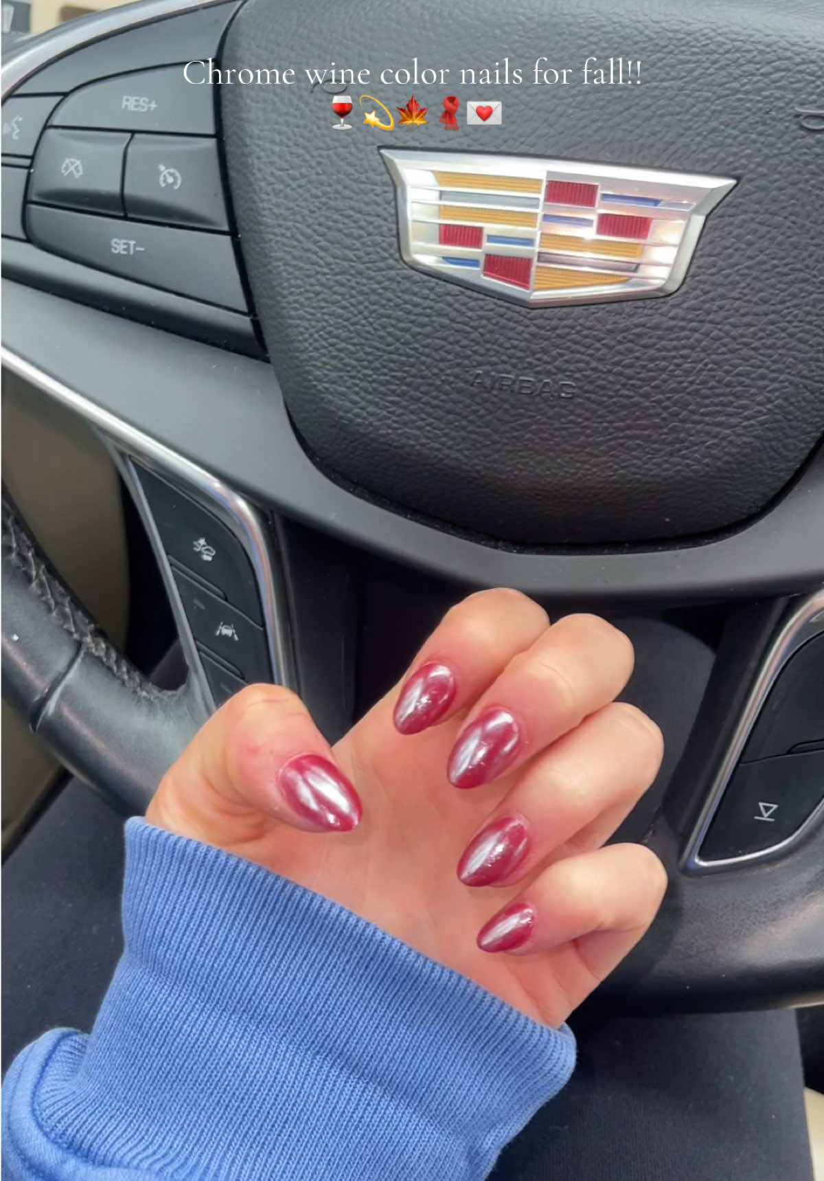 Literally my favorite nails ever!!!😍 everyone go get these fall nails asap! #fallnails #chromered #nails #winecolornails 