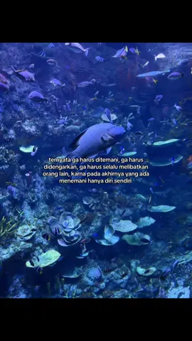 #fyp #xyzabc #masukberanda #viralvideo #storytime 