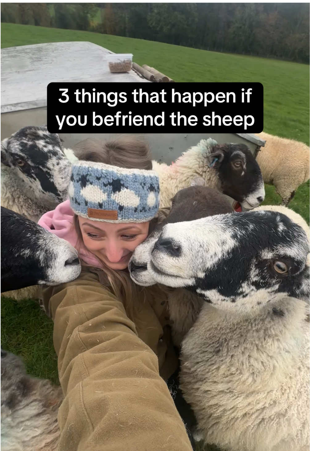 This is what you sign up for if you befriend your sheep, are they pros or cons I’m not sure?? #sheep #farmlife #farmanimals 