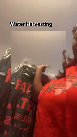 We talk about collecting rainwater for indoor plants, showing excitement about filling a water bucket during rainfall and discussing how we prefer natural rainwater over tap water for plant care. #Plantlife #rainwatercollecting #rainwaterharvesting #gardeningtips #naturalwater #indoorplants #everyone #fyp 