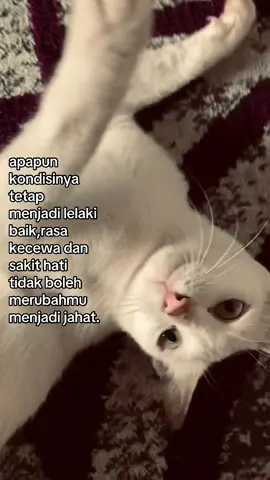 🫂#fyp #xybca #berandatiktok #likes #viewstiktok 