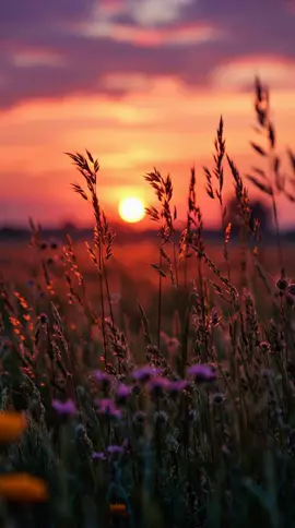 Memories of Childhood #Background #LiveWallpaper #Aesthetic #Nostalgia #freebieclip