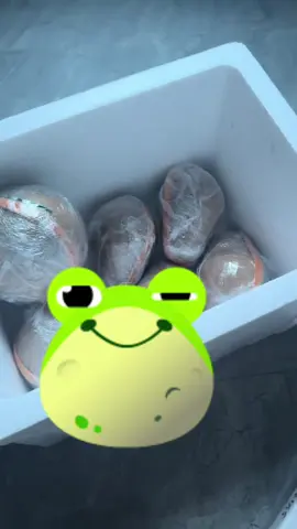 Lên đơn đi#xuhuong #hoachat #phaohoatet 