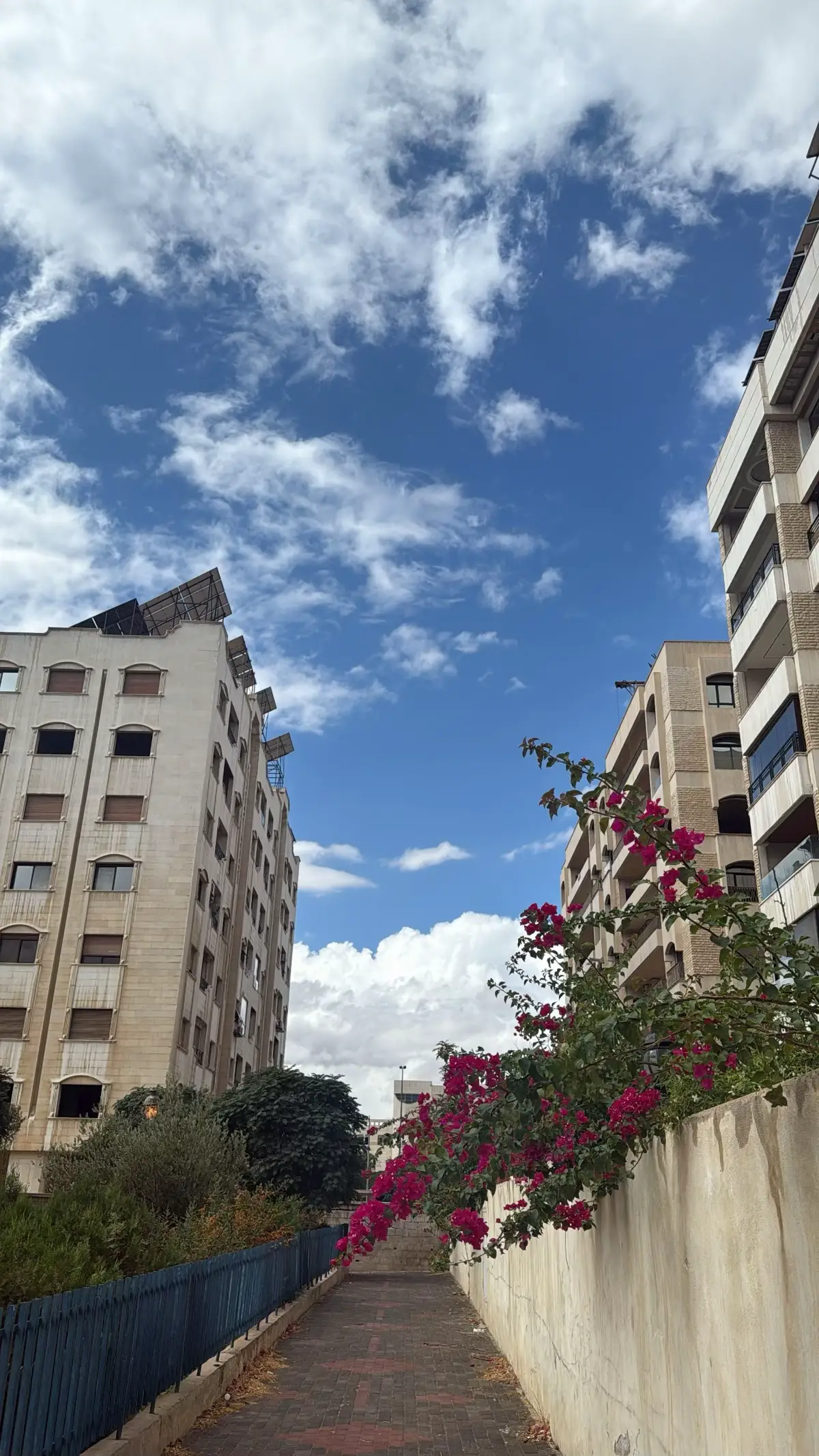 #سوريا🇸🇾 #damascus  #دمشق  #explore  #syria 