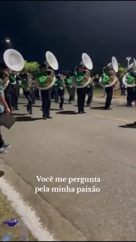 amo viver isso 🤍💚🖤 