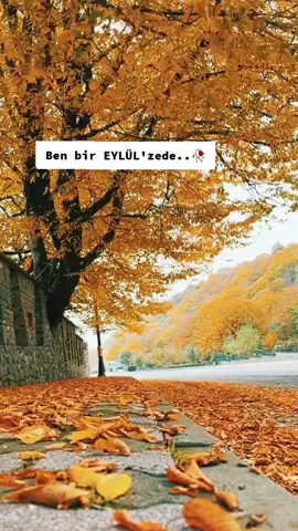 #gulbahçesi #keşfet #keşfetteyizzz 