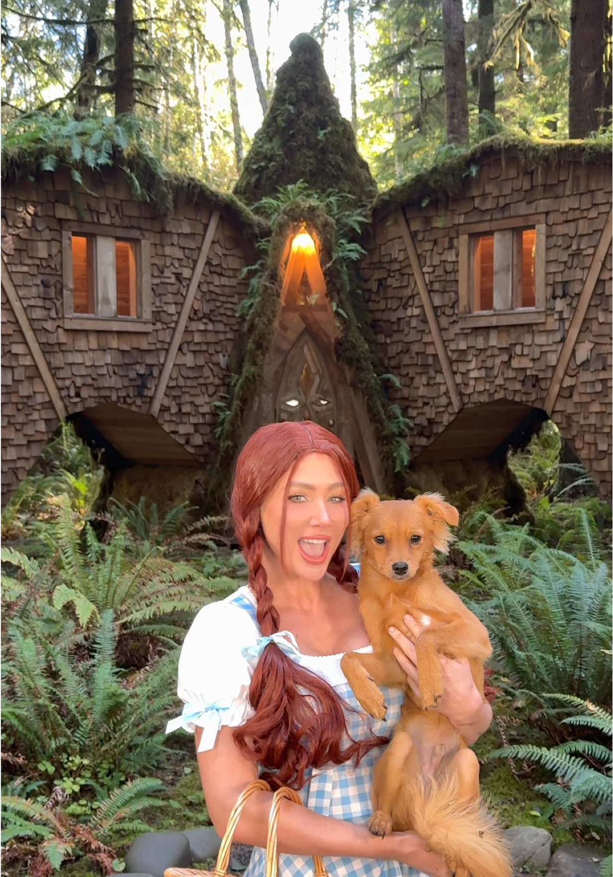 Dorothy x Tin Man meet cute 