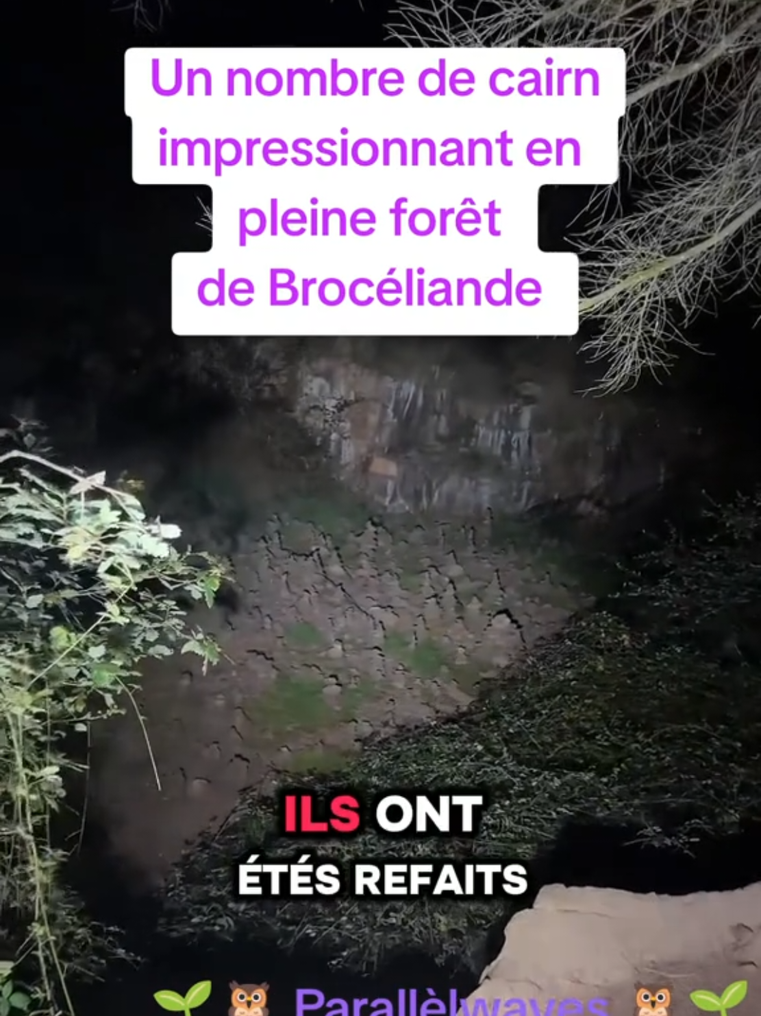#realcreator #bretagne #broceliande #foret @fly 🪶 @tybo312 @voisinetteParallèlwavNajib😱🎥 @🖤🤍l’hermine 35🖤🤍 @🕊💙 Netchag 💙🕊 @Drone e-motion @Rogseven @Mer Egee mich mich @😉Mumu🫠(17)🌹 @azl 