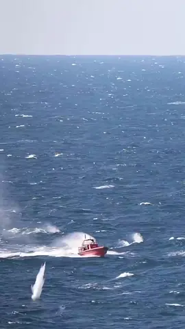 Waaaa... Como saber si se le vaciaron los frenos! Jejeje