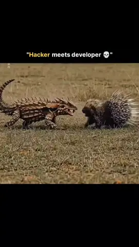 follow @neojade.ai for more #nature  #fyp  #fyppppppppppppppppppppppp 