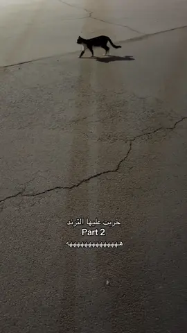 هههههههههههههههههههههههههههههههههههههههههههههههههههههههههههه#fyp #viral #اكسبلور #explore 