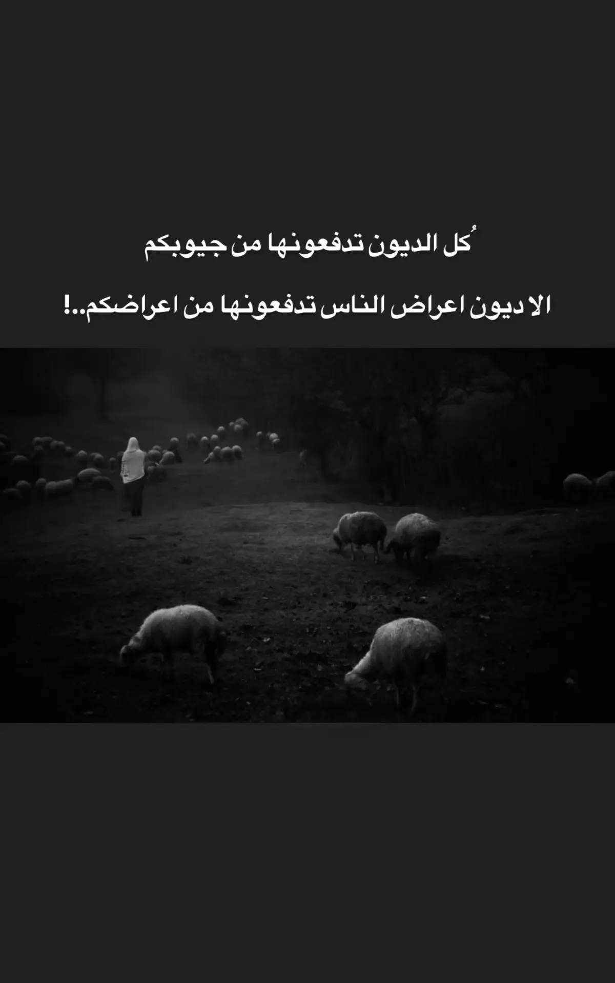 #مجرد_ذووقツ🖤🎼 #مجرد________ذووووووق🎶🎵💞 #اكسبلورexplore #اكسبلور #امريكا 