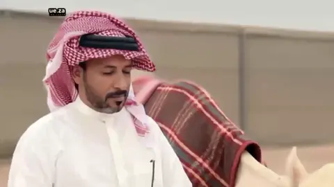 #لايك__explore___ #محمدبن فطيس#السعودية🇸🇦 