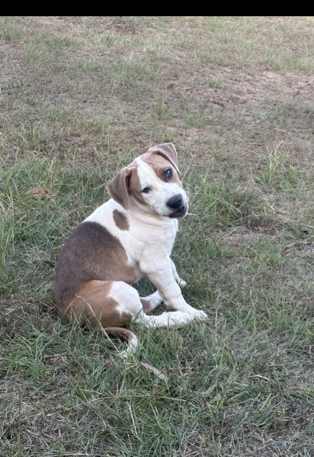 see you soon, bookie @dani 🫶🏾 #adulting #bestfriend #homesteadliving 