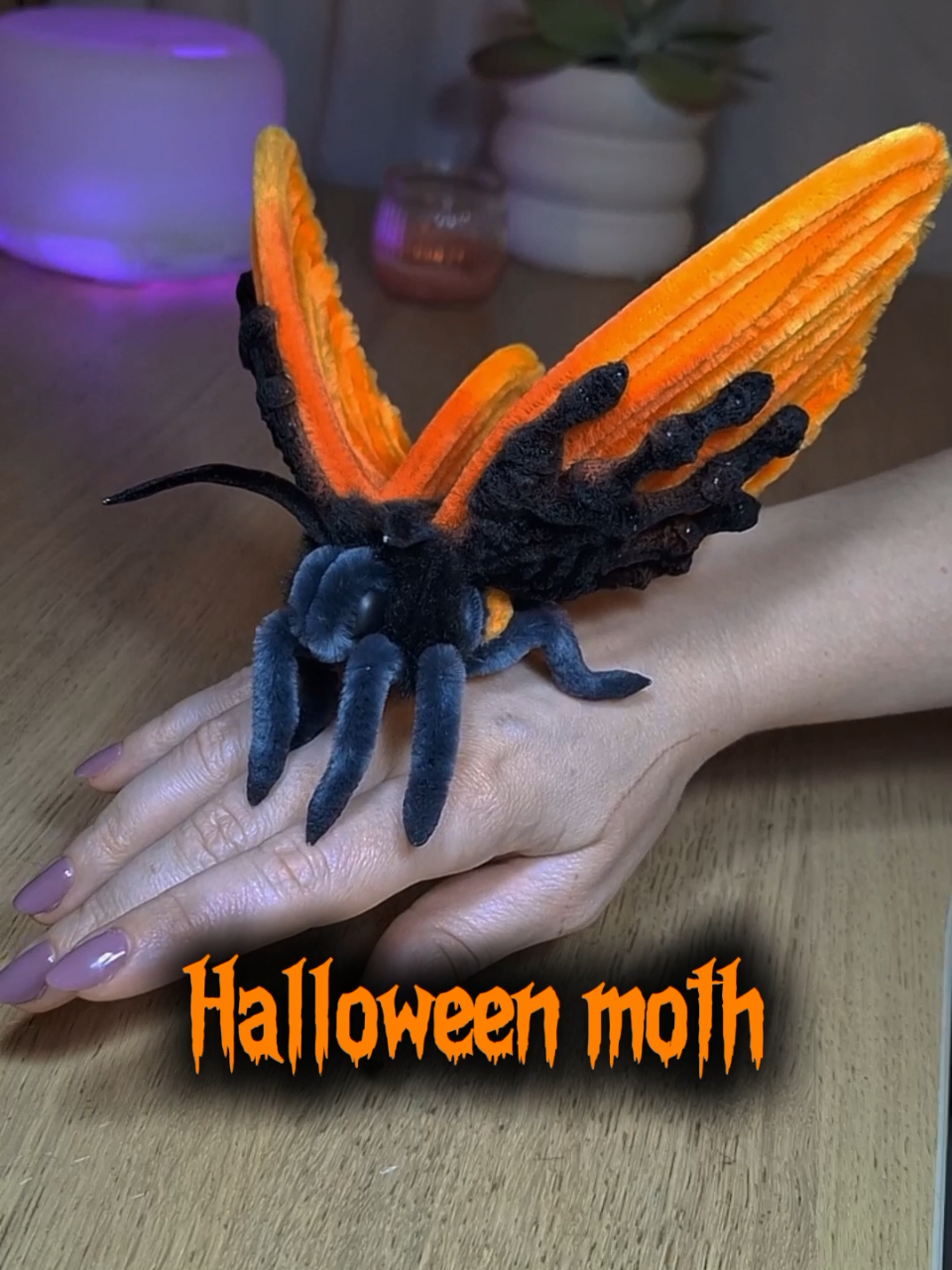 Born from a Halloween wish... whispered in comments #halloween #moth #pipecleaner #spookyseason #mothlovers 