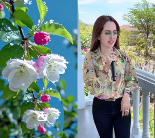 #duet cùng @MắtKínhMinhThư 