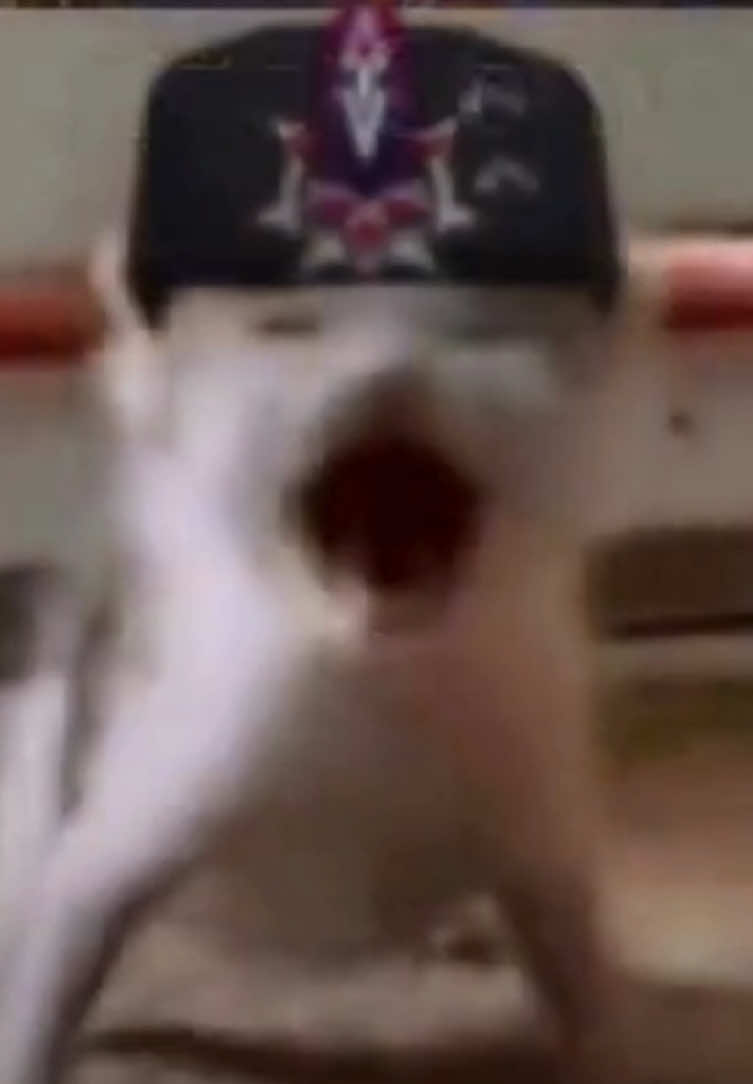 Based on literal drawing tutorials. #genshin #fyp #genshinimpactedit #genshintok #hoyocreators 