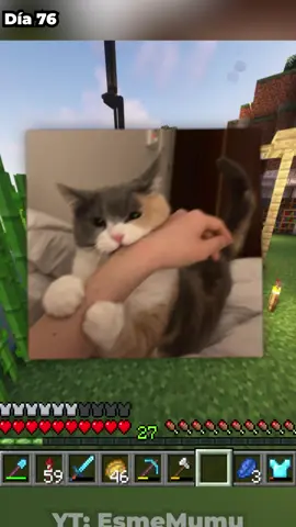 encantados #Minecraft #survival #clips