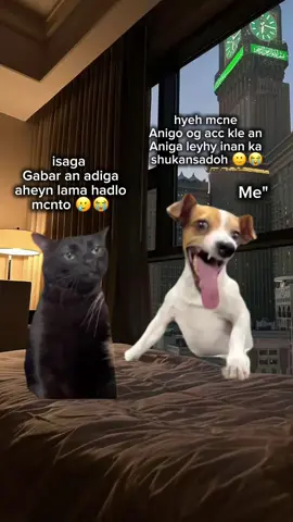 ino wad hppih 😭😭😂 . . . #folowmeeeeeee #trendingvideo #plzcopylink 