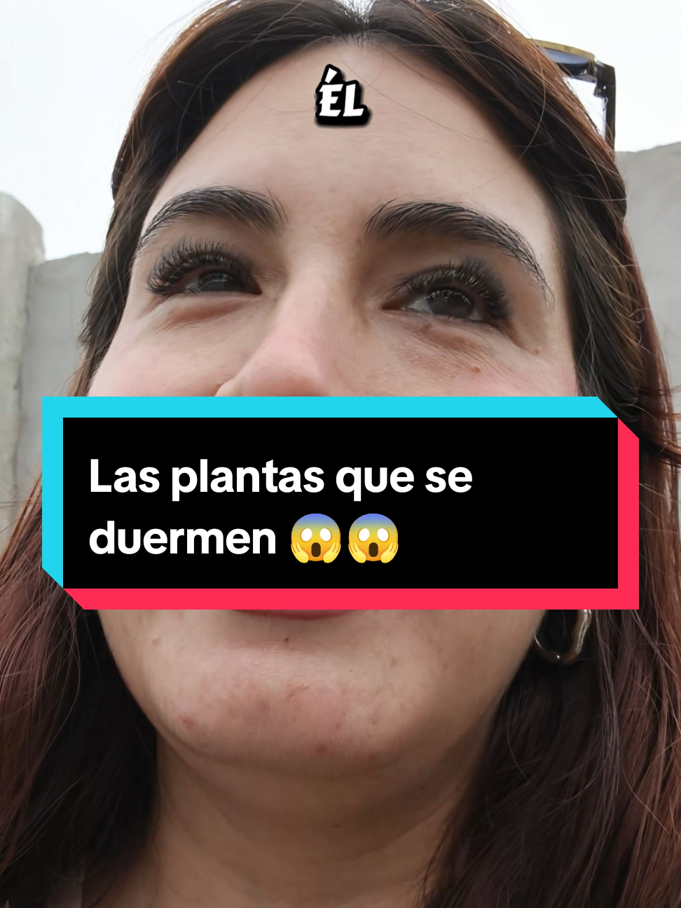Alguien sabe porque se duermen esas plantitas? y díganme que no soy la única a la que le decían que había que cantarles esa canción para que se duerman 🤭🧐#curiosidades 