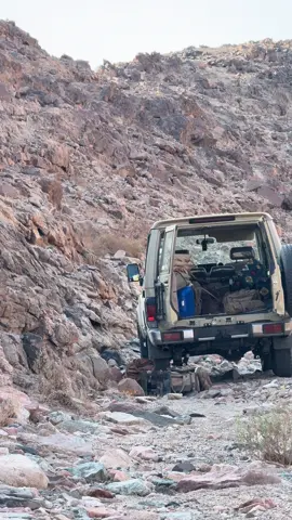 #اكسبلورexplore❥🕊 #تصويري_farah_al_hyaat #طلعوهه_آكسبلور_لاهنتم #مكشات_وناسة_بر #سجات_بريات🍂 #تبوك_الورد_تبوك_تيماء_ضباء_حقل 