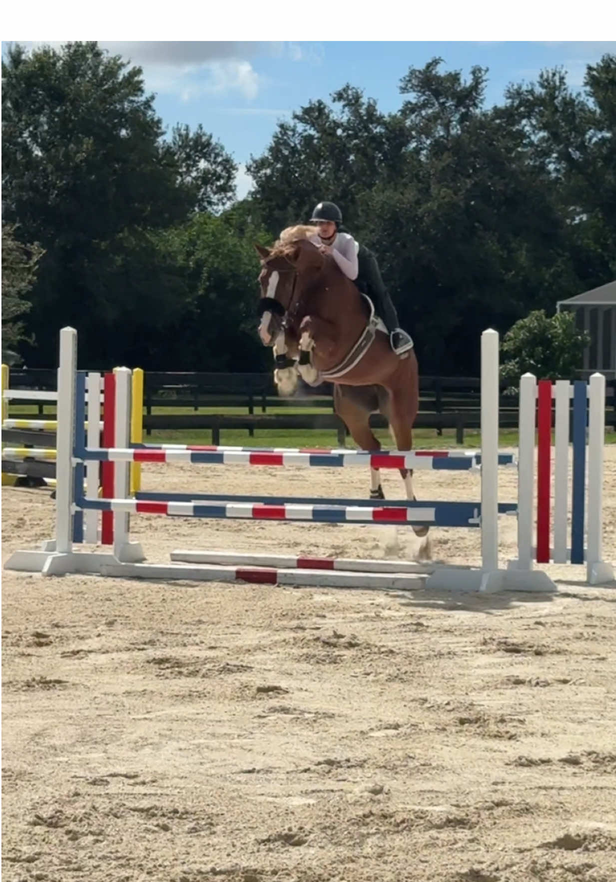emeraldyn you literally are mind blowing. 🤯 (yes i am aware my nose band is flopping, her new bit hasn’t come in yet.) #horses #showjumping #equestrian #babyhorse #grandprixhorse 