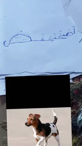 #VoiceEffects tiktoknews 