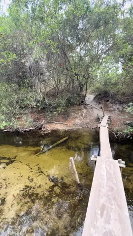 Riozinho #rio #zonarural_go #reserva 