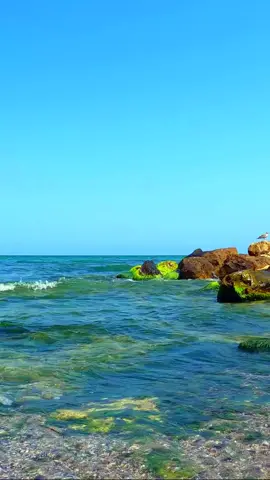 #دعاء #ذكر_الله   #الشعب_الصيني_ماله_حل😂😂 