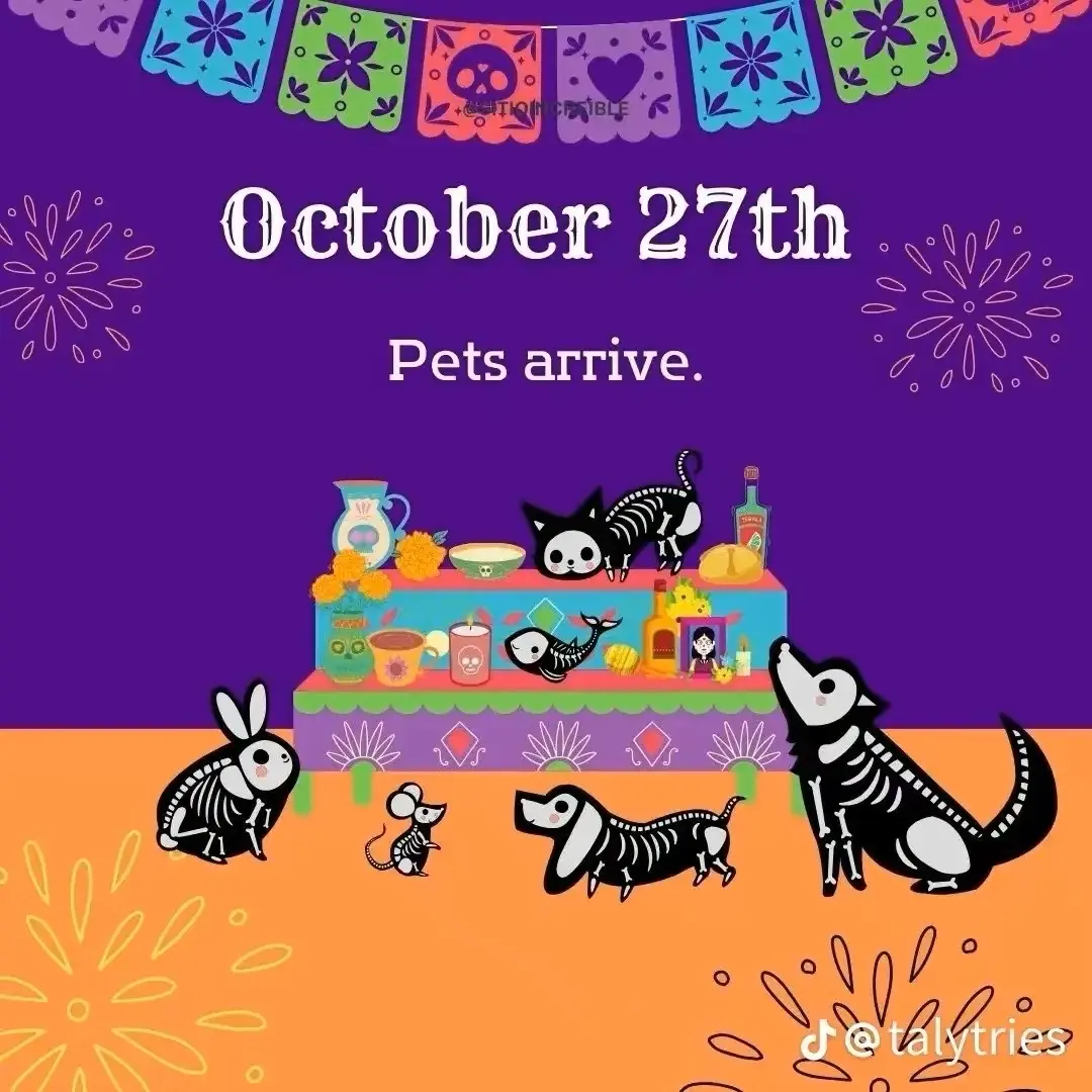 I miss you more than anything best friend ❤️ I can’t wait to see you again one day.