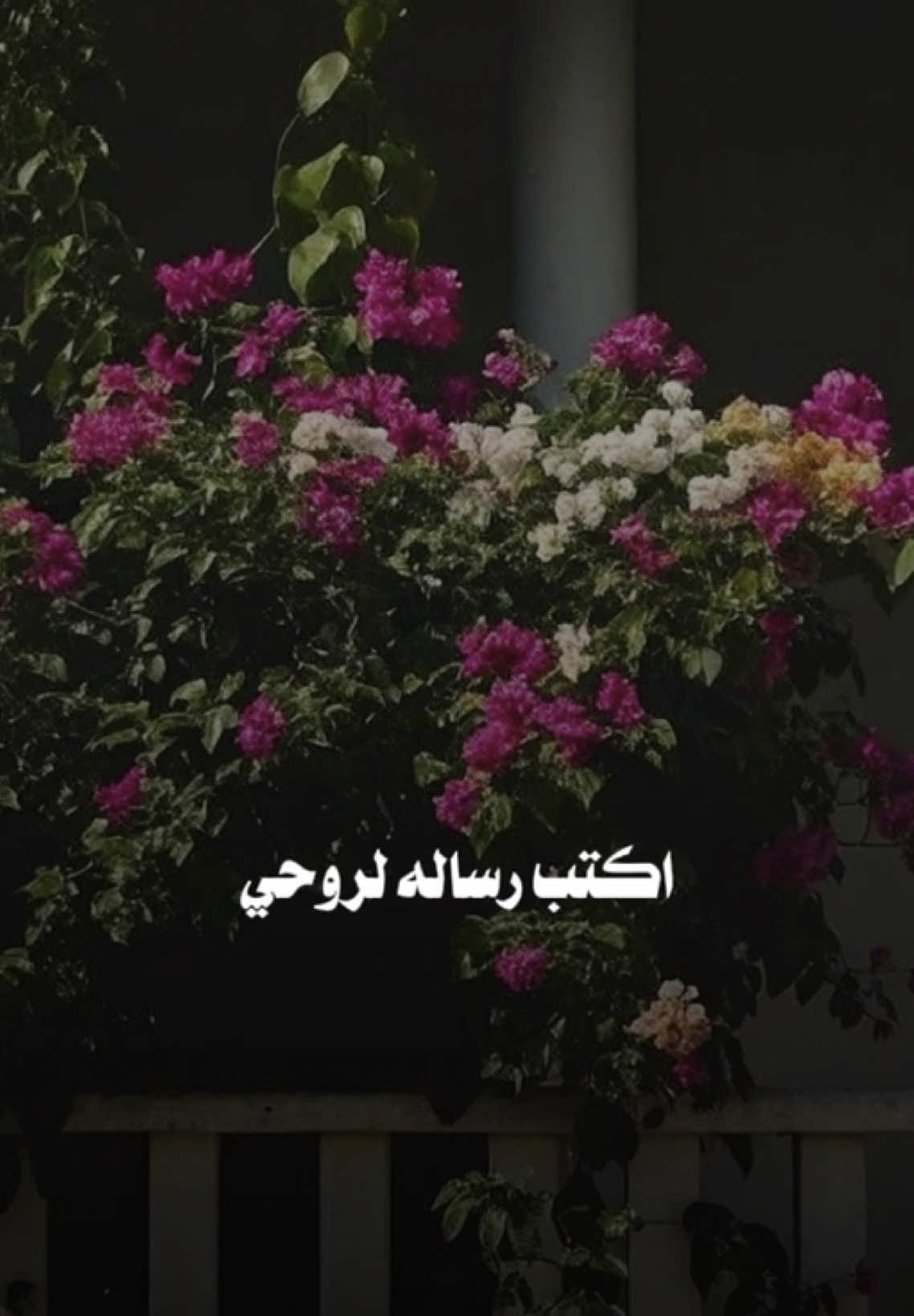 اكتب رساله لروحي🤍💫بيها احبك اني💫🤍و يغيب عن عيني الوعي💫🤍و اتخيلك دزيتها🤍💫 #علي_جاسم #علي_جاسم_اكتب_رساله #احبك #تصميم_فيديوهات🎶🎤🎬 #اكسبلور 