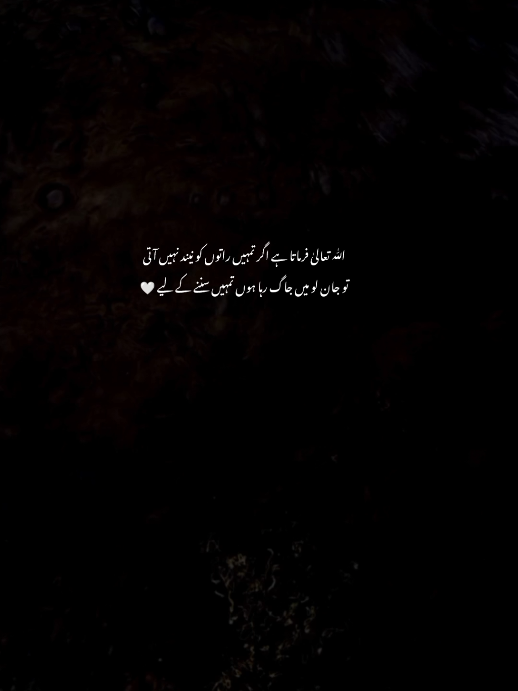 😢🤍 | #Ziroox #fyp #foryou #foryoupagе #sad #sadpeotry #sadshayri #urdu #urdypeotry #urdushayari 