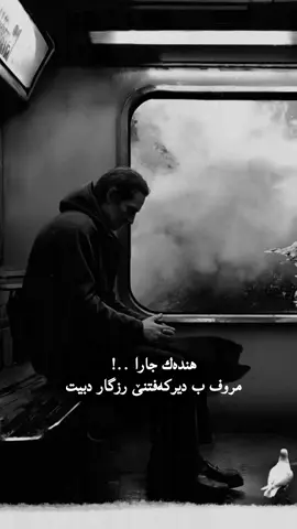 #creatorsearchinsights #paiven_zerin #پەیڤێن_زێرین #پەیف #پەیڤ 