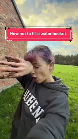 If you’re considering getting horses, maybe just save yourself the trouble and get a hamster instead @Equeene Equestrian #horsetok #equestrian #horseriding #horsesoftiktok #fyp 