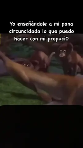 yo enseñándole #meme #fyp #madagascar#parati#sircunsicion 
