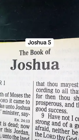 #TheLordJesusChrist #Messiah #GospelKJV #ScriptureReadingFYP #ThePrinceOfPeace 