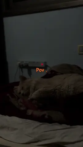 #مجرد________ذووووووق🎶🎵💞 #المصمم_راغب_الشيخ☹️💔 