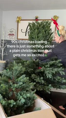 @kingofchristmas has the best trees and the most realistic! 🎄 #90sthrowback #90schristmasvibes #90schristmas #kingofchristmas 