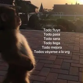 #meme #fypシ #humor #fraces #frases 