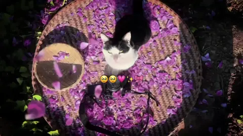 5 جماد الأول ولادة السيده زينب (عليها السلام). ✨💗💗 ،  ،  ،  ،  ،  ،  #لايك_متابعه_اكسبلور #علي_بن_ابي_طالب #شيعة_الامام_علي_عليه_السلام #الامام_علي #capcut 