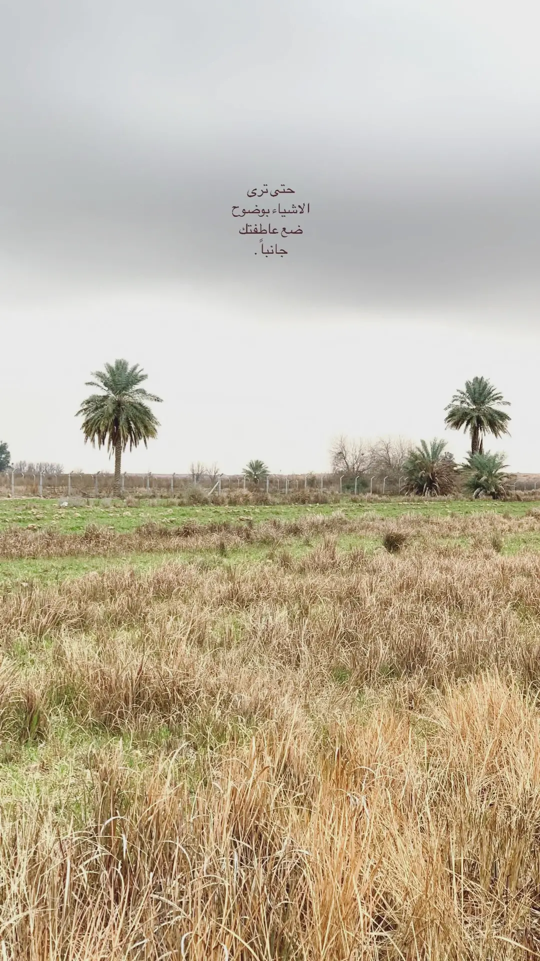 #viral #fyp #foryou #foryoupage #الضلوعيه 