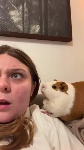 #дугин#thefirerises