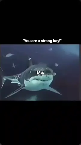 😶