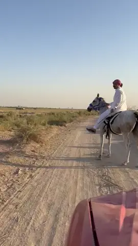 نطبك كبل الطاير … واسرع من جن سليمان#امراء_زبيد_في_العراق_والوطن_العربي #قلعة امير زبيد عايد مطني السمرمد